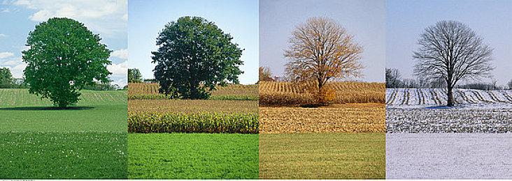 国产ARPG《失落迷城：群星的诅咒》现已正式发售